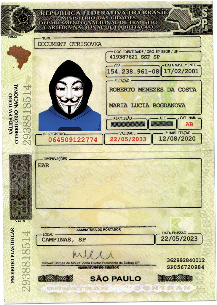 BRASIL DRIVER LICENSE