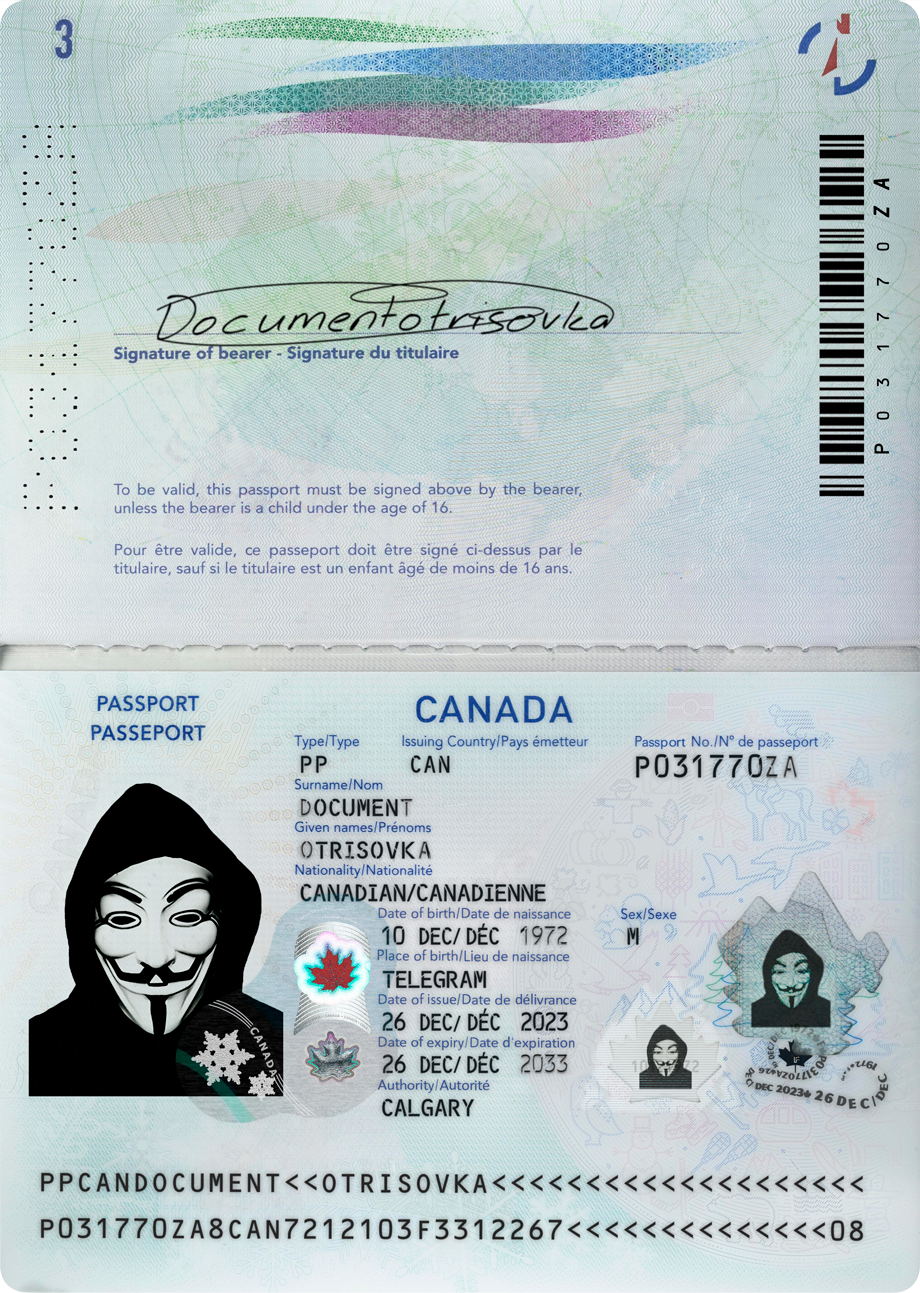 Пример паспорта — визуальная отрисовка